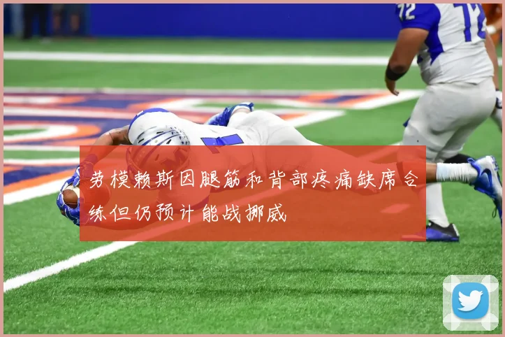 劳模赖斯因腿筋和背部疼痛缺席合练但仍预计能战挪威
